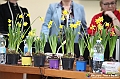 VBS_1022 - Presentazione Messer Tulipano 2025 - 25.ma edizione
